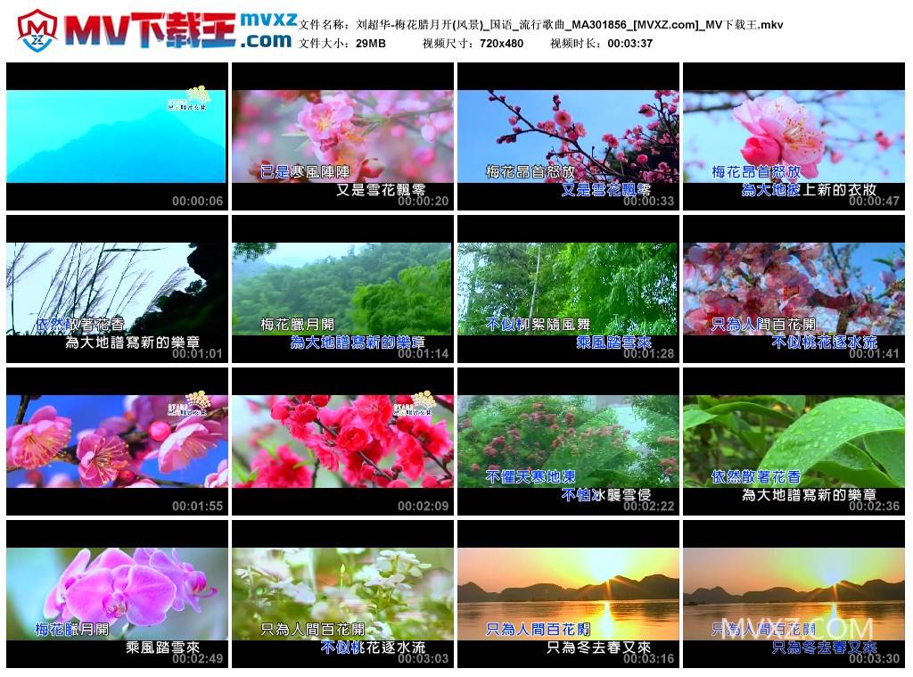 刘超华-梅花腊月开(风景)_国语_流行歌曲_MA301856